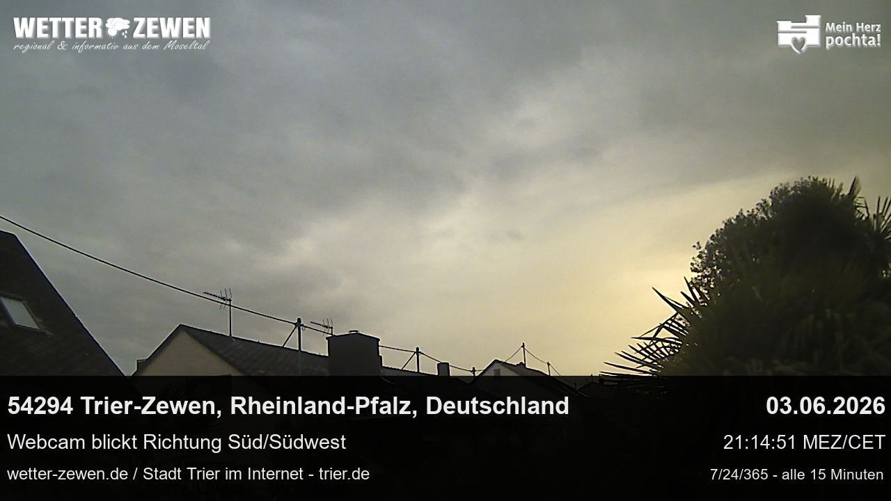 Bild