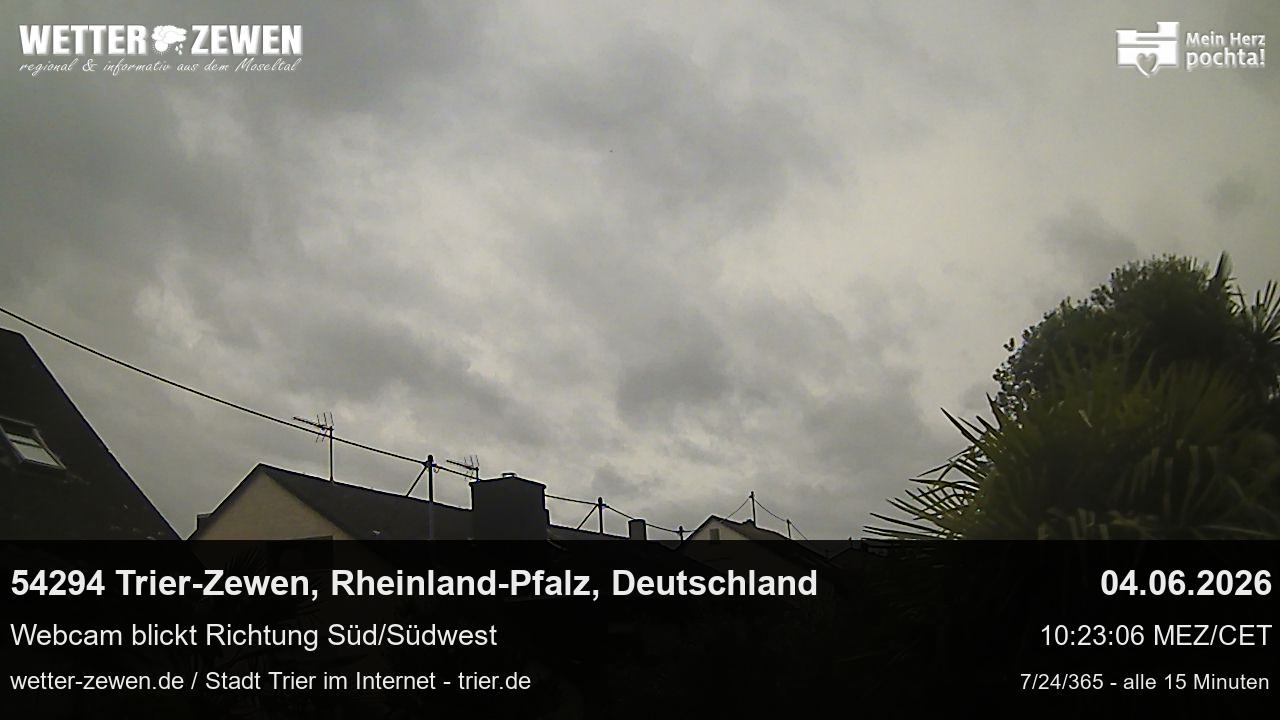 Bild