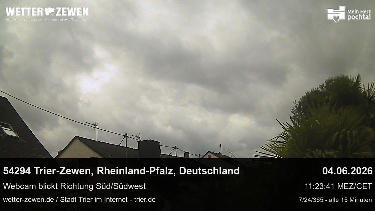 Bild