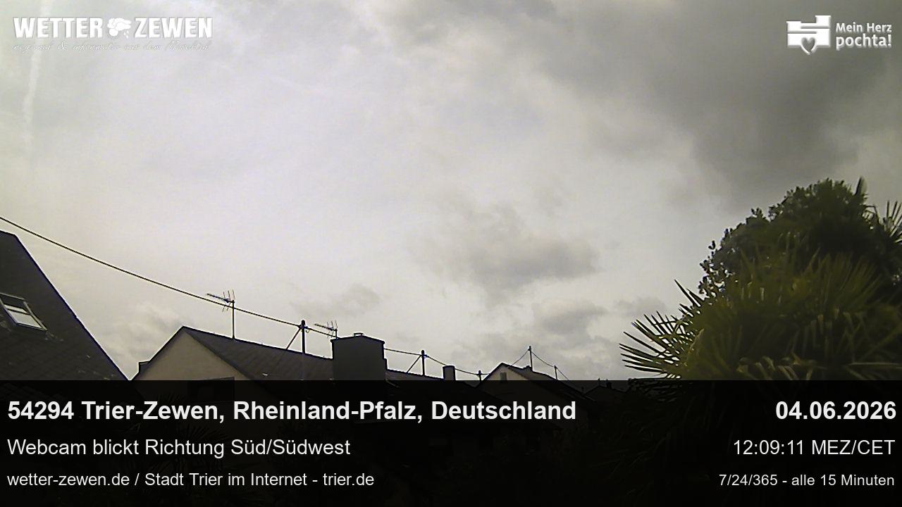 Bild