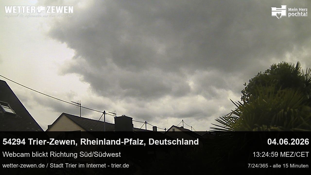 Bild