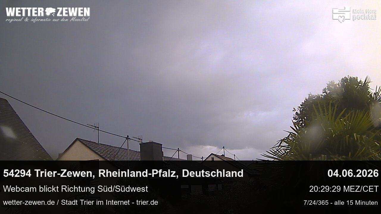 Bild