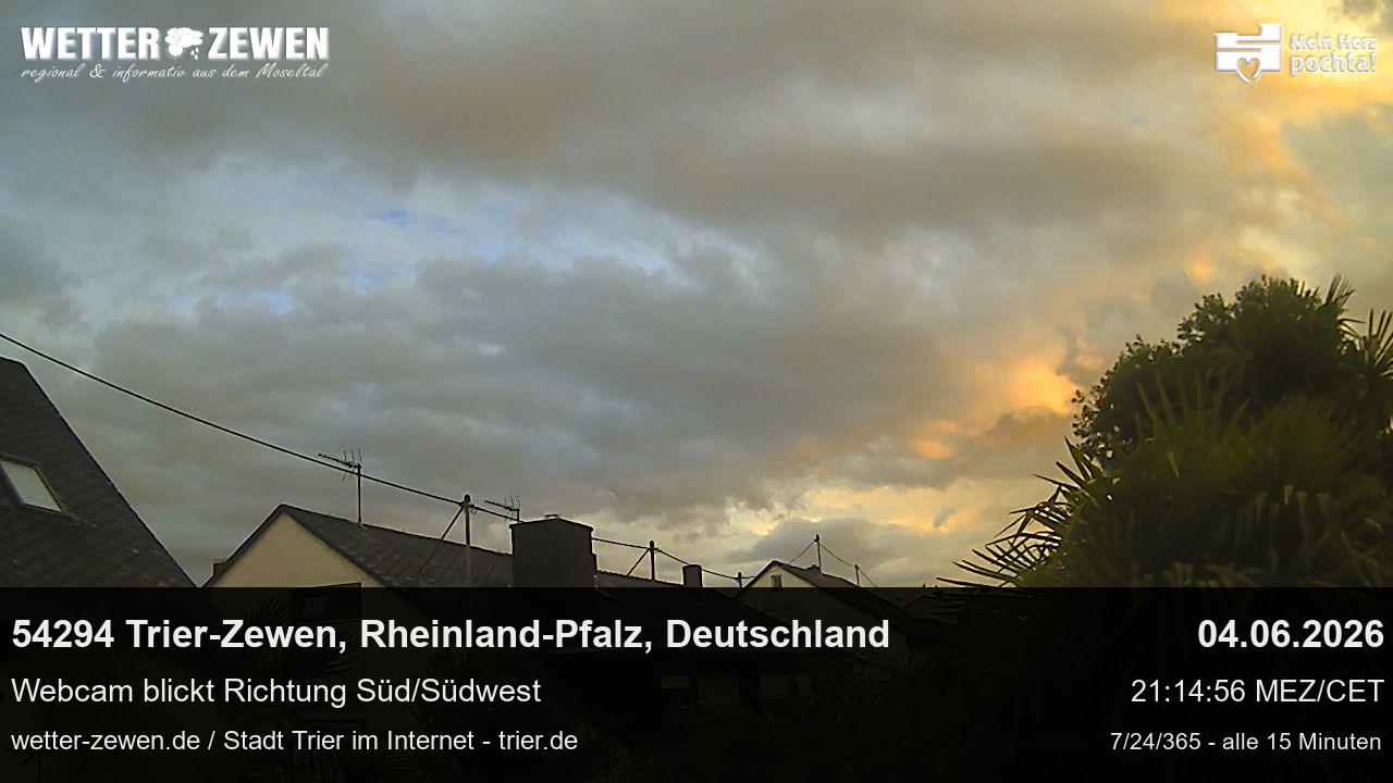 Bild