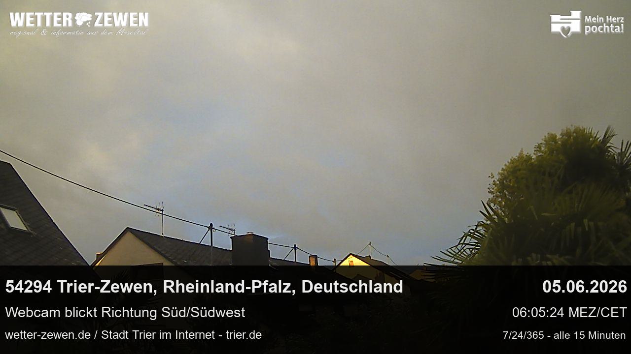 Bild