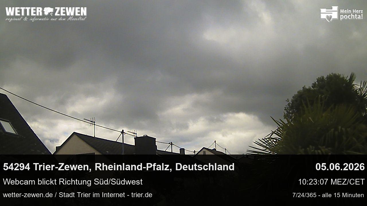 Bild