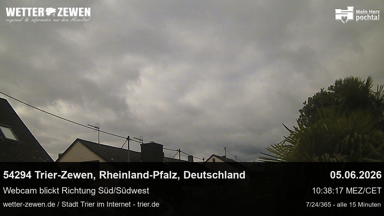 Bild