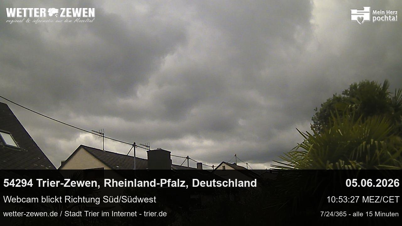 Bild