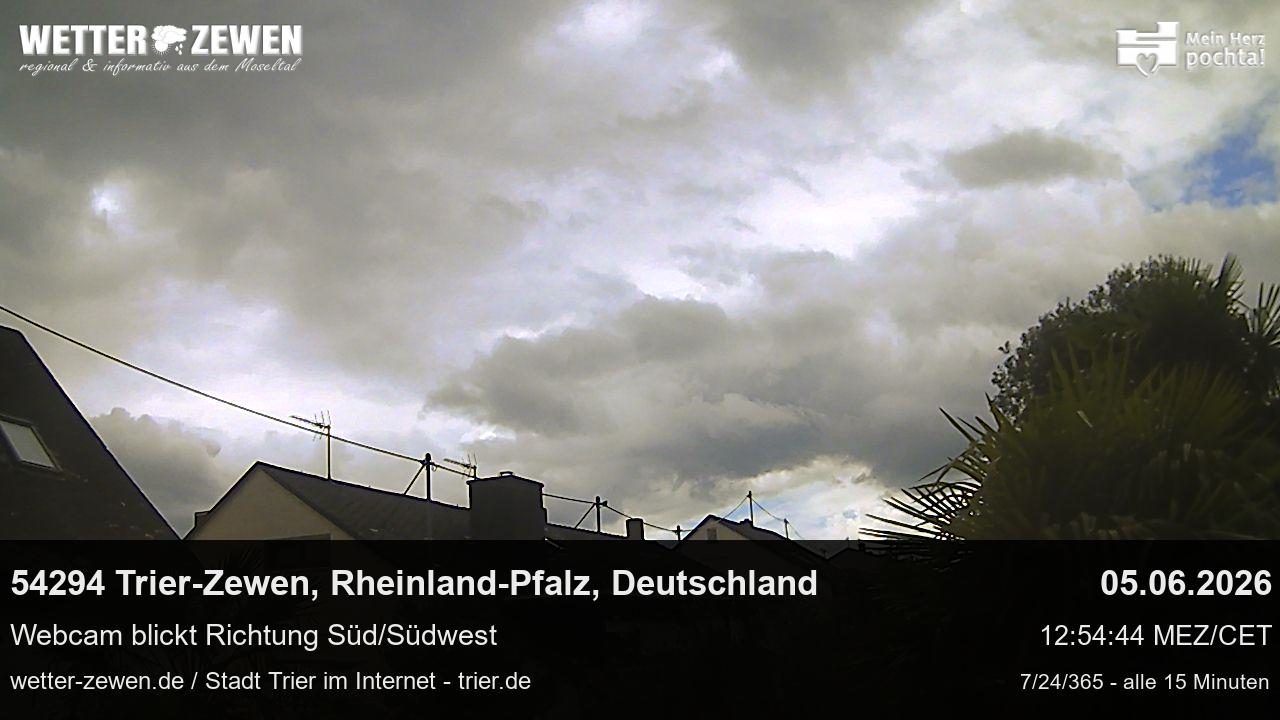 Bild