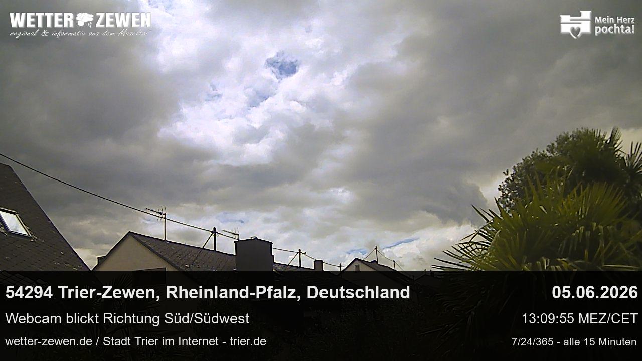 Bild