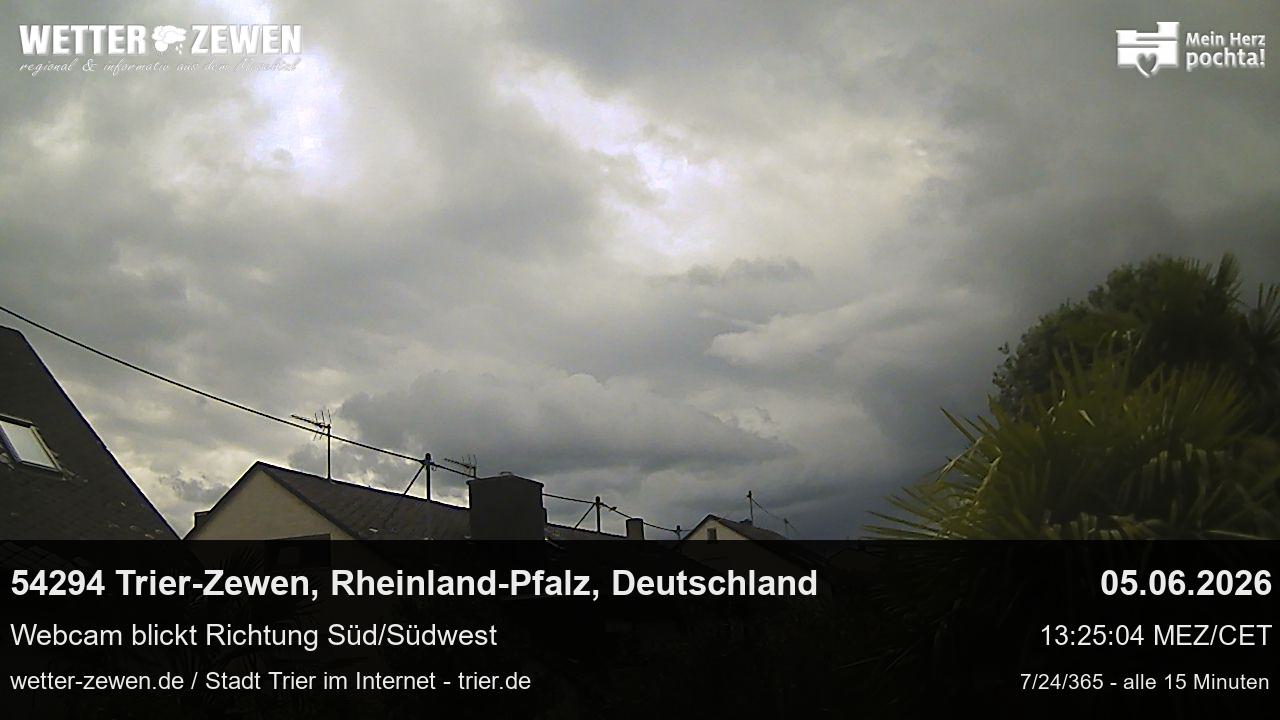 Bild