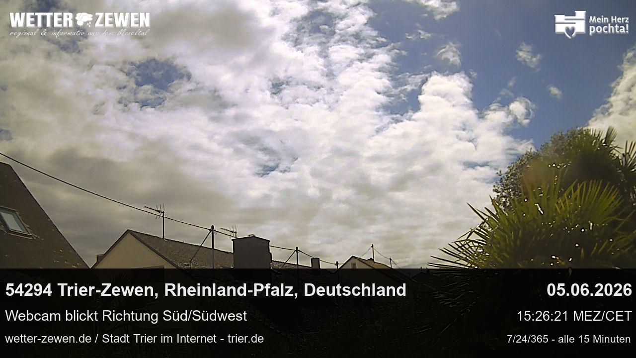 Bild