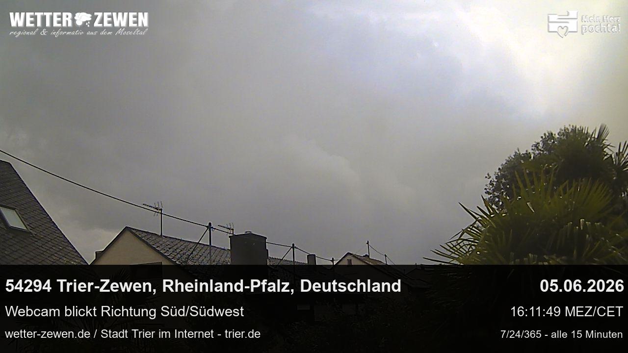 Bild
