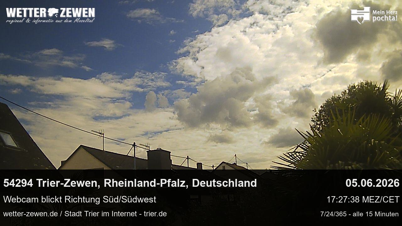 Bild