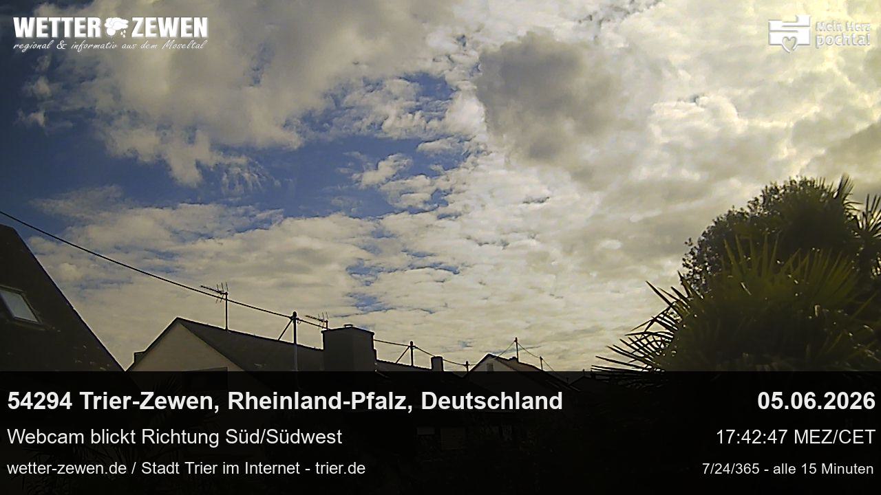 Bild