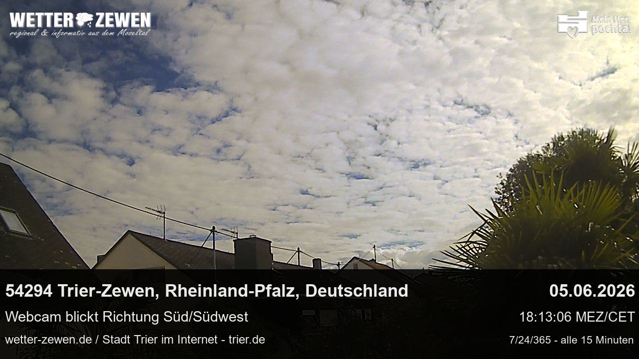 Bild