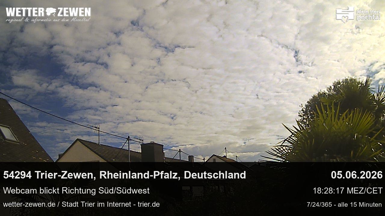 Bild