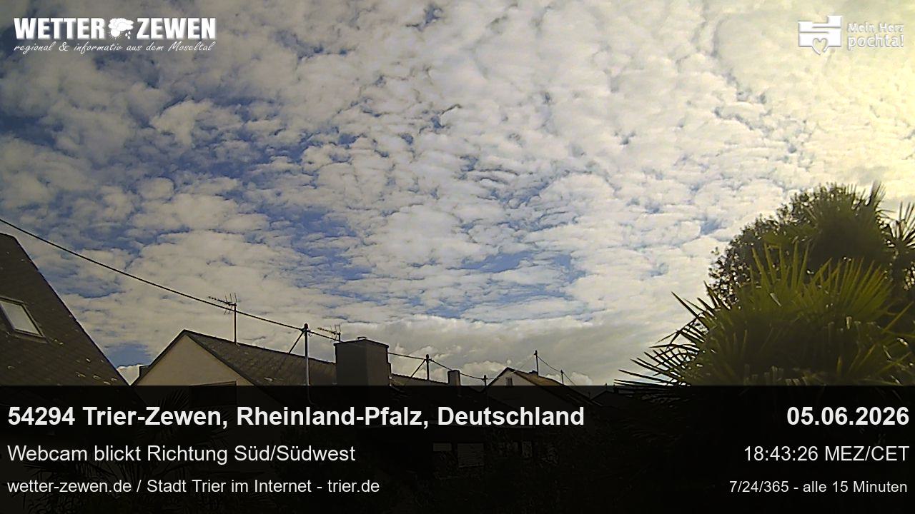 Bild