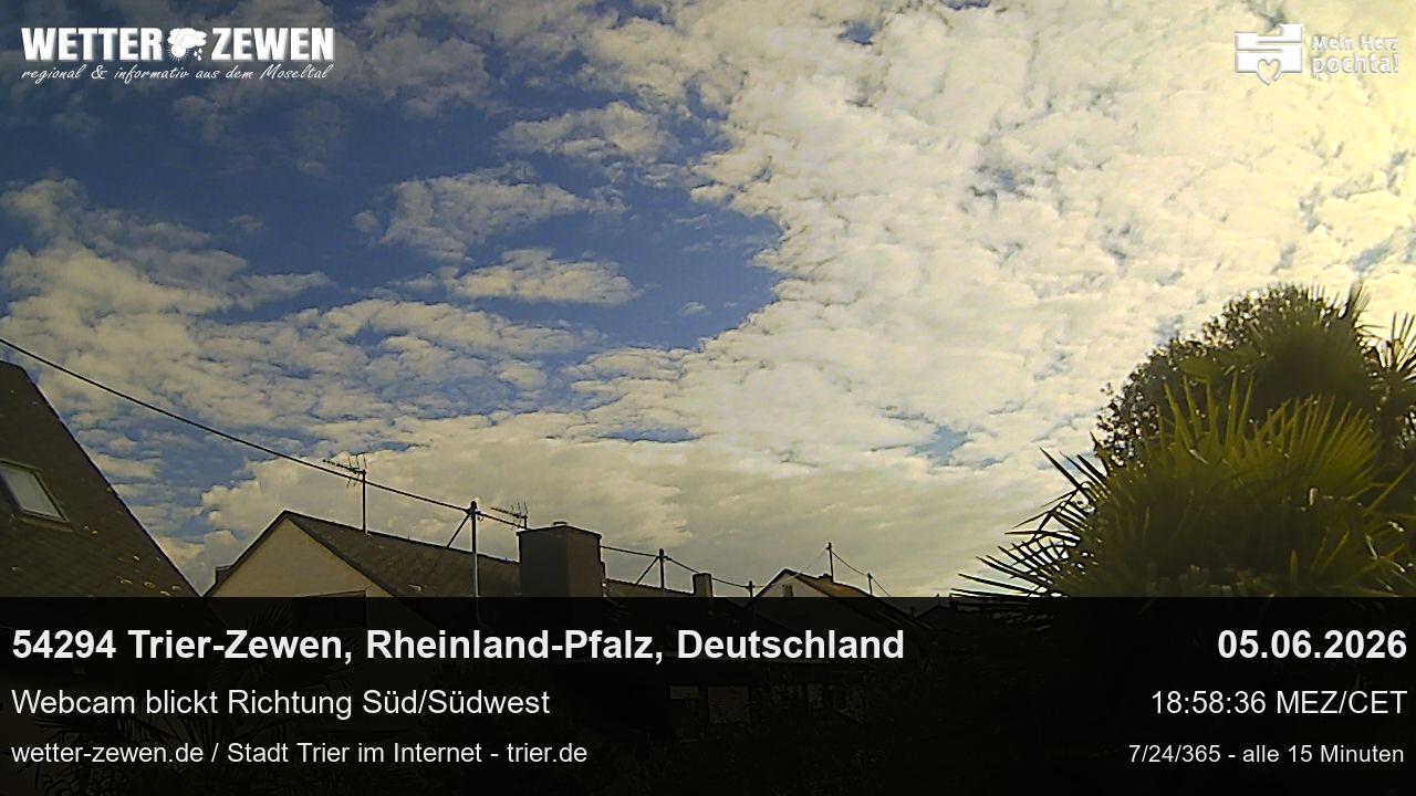Bild
