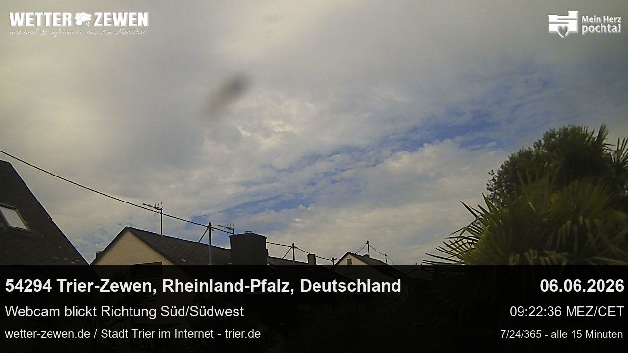 Bild