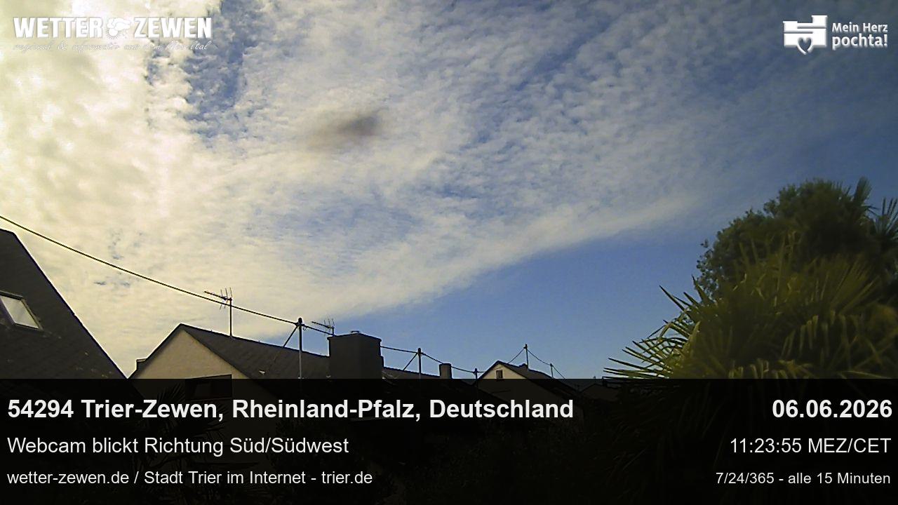 Bild