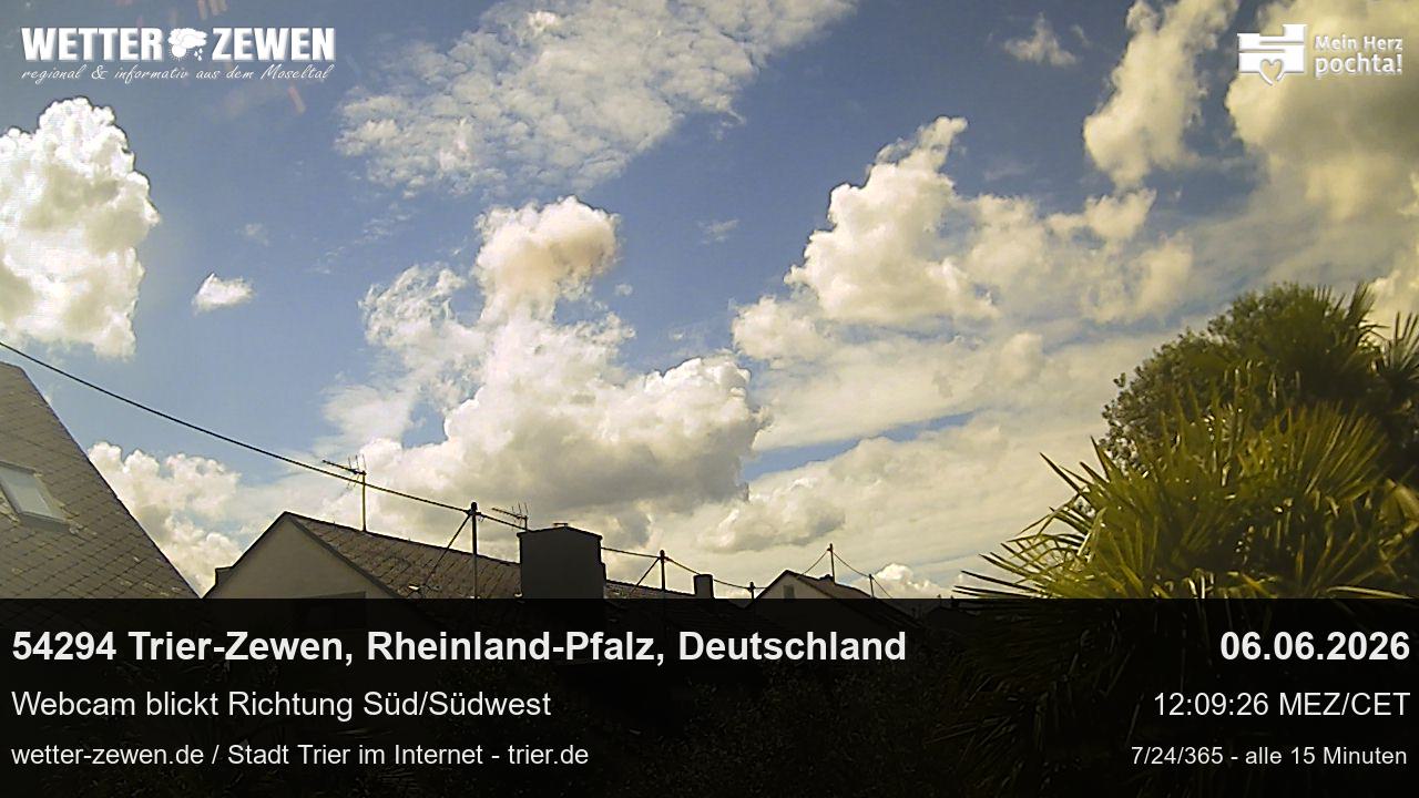 Bild