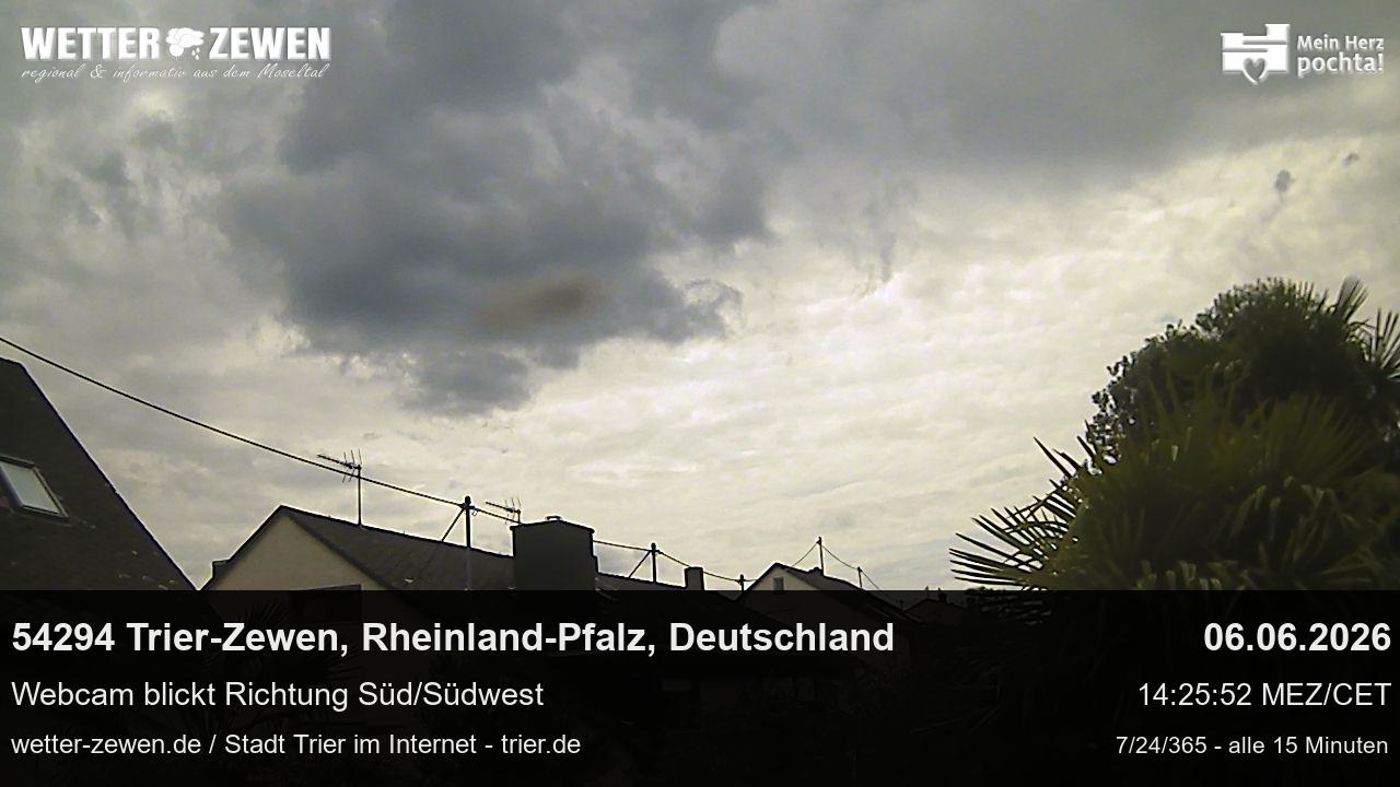 Bild