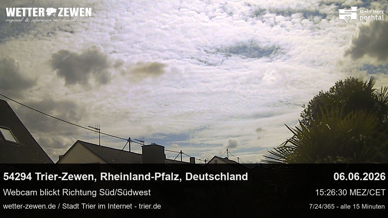 Bild