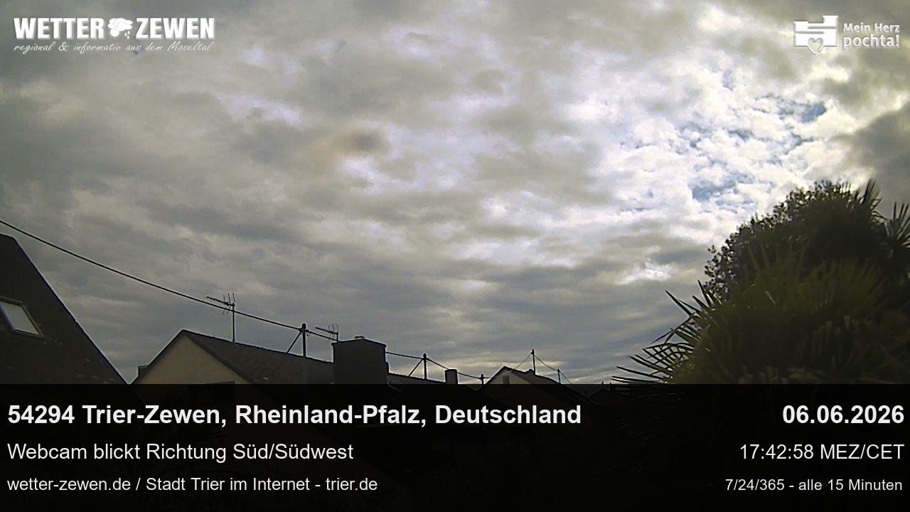 Bild