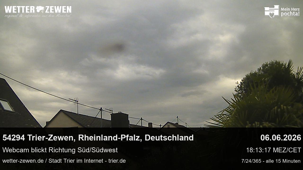Bild