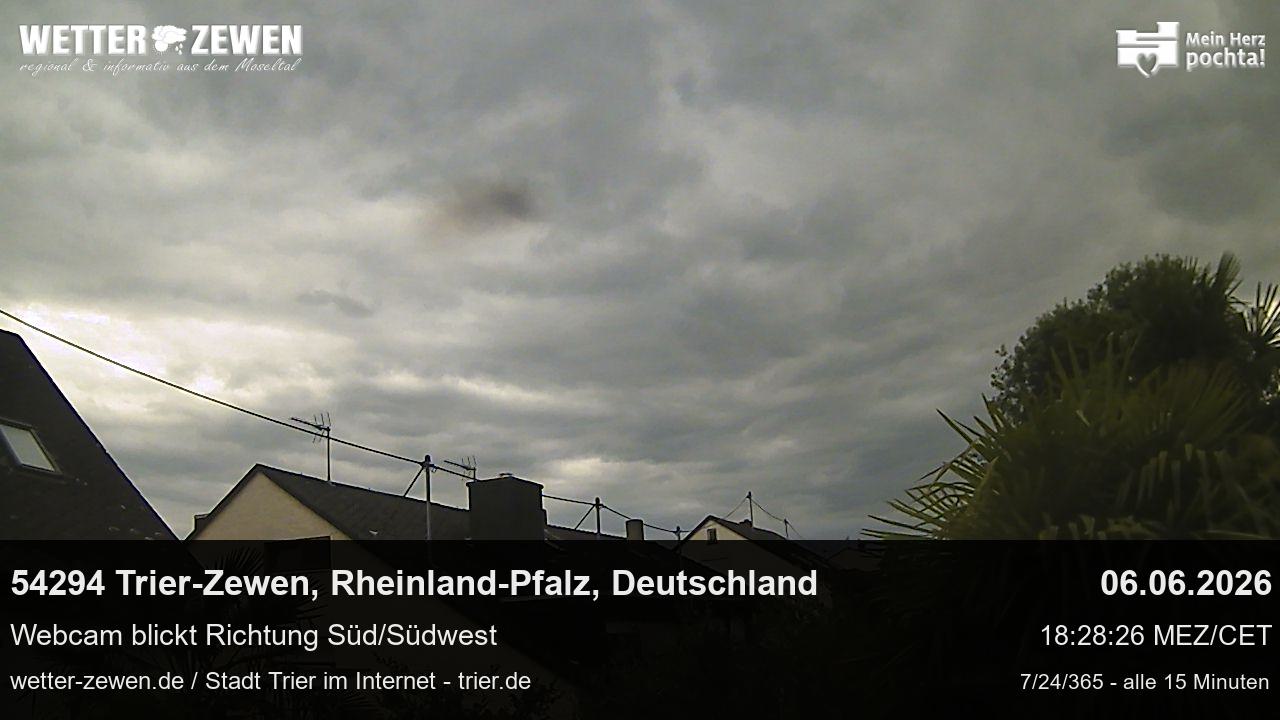 Bild