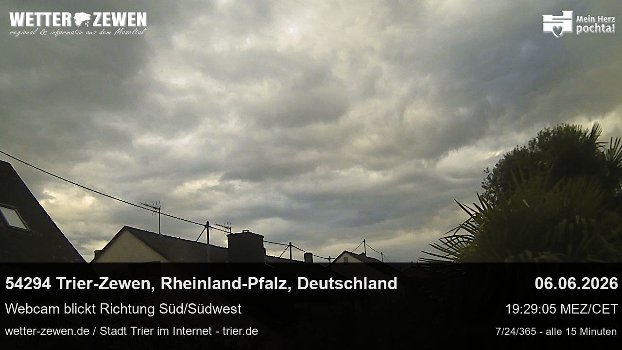 Bild