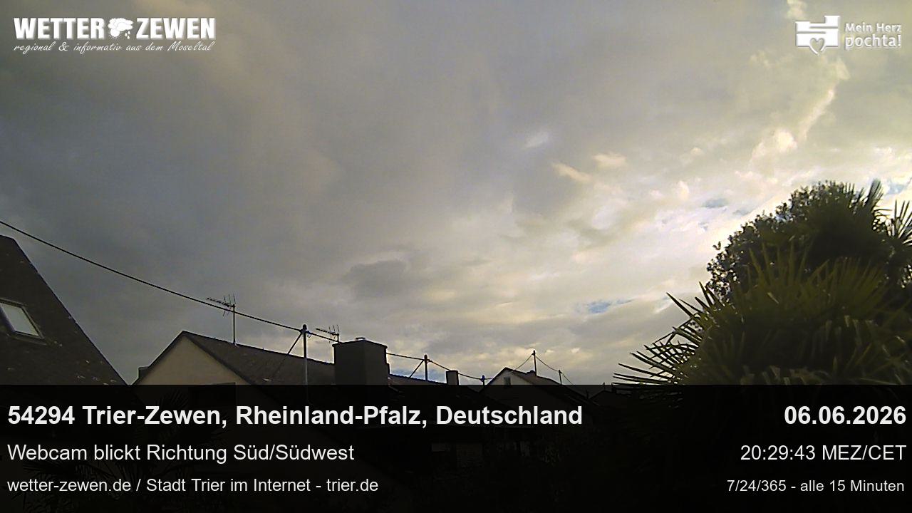 Bild