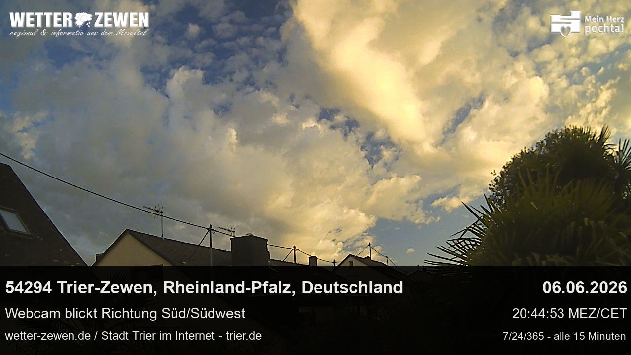 Bild