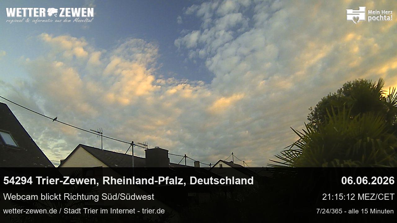 Bild