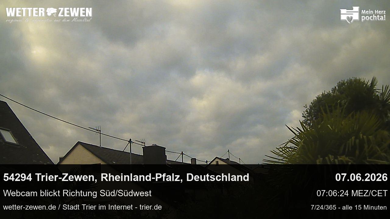 Bild