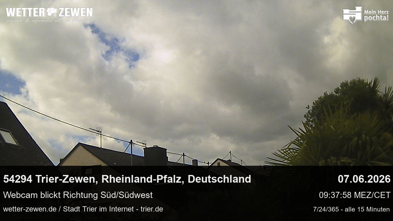 Bild