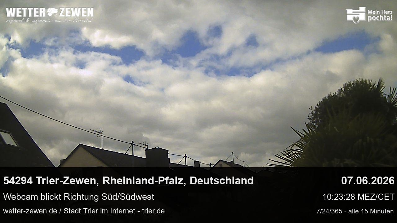 Bild