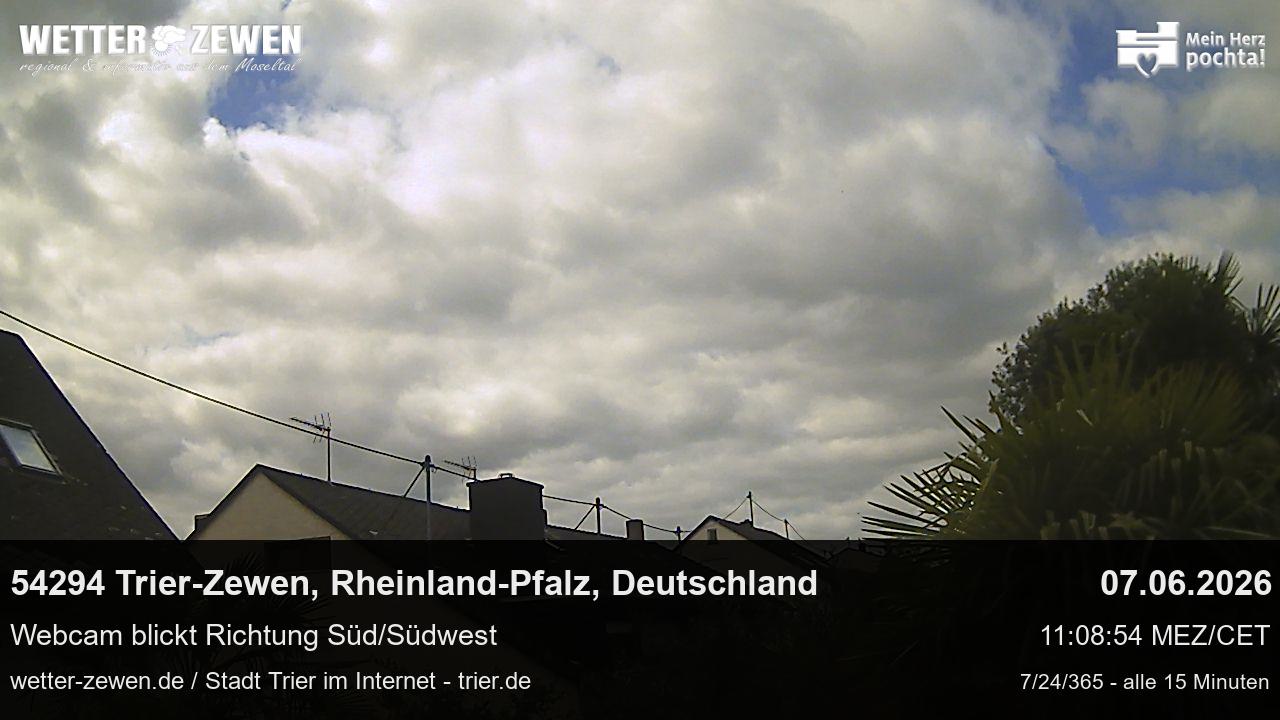 Bild