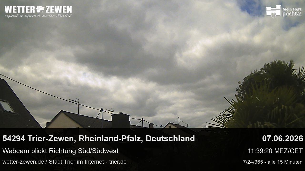 Bild
