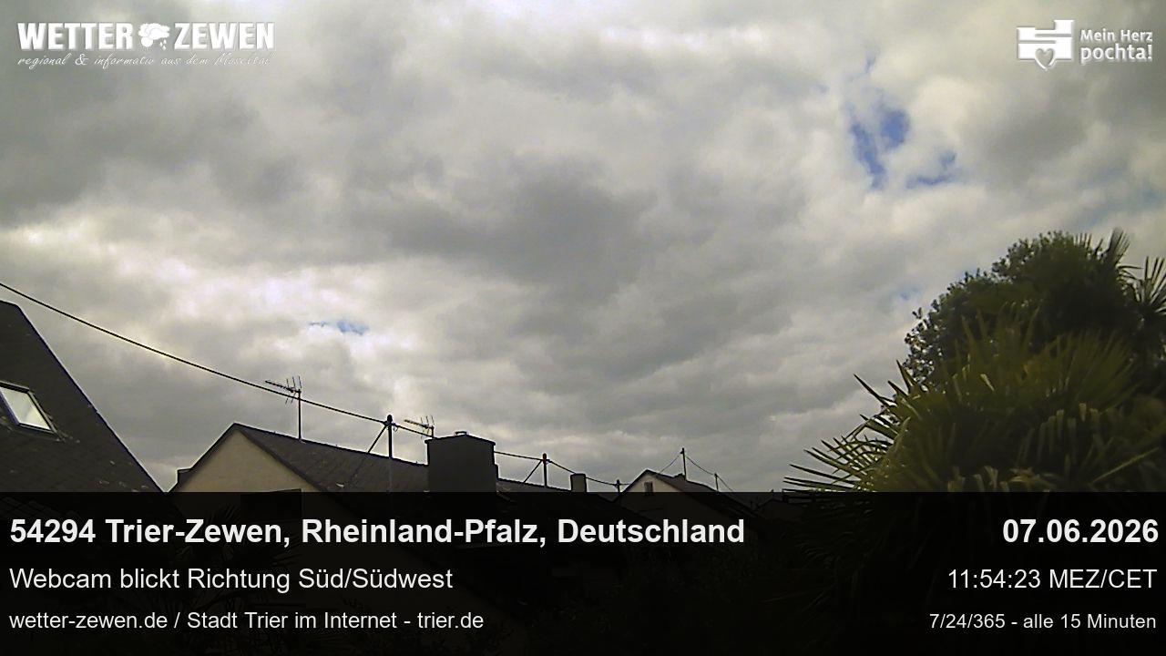 Bild