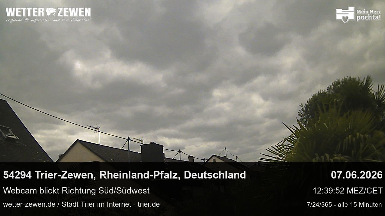 Bild