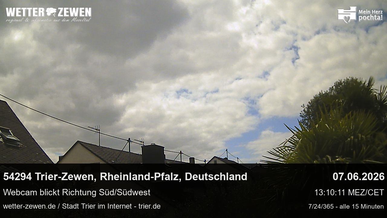 Bild