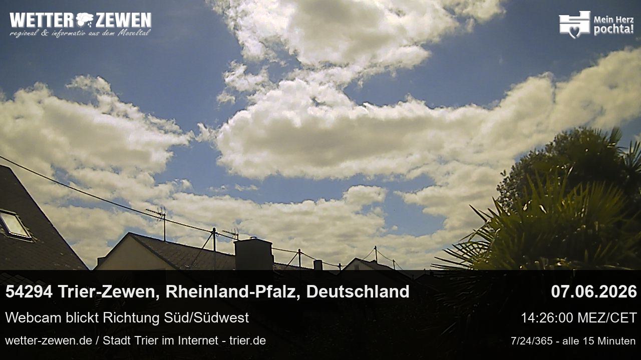 Bild
