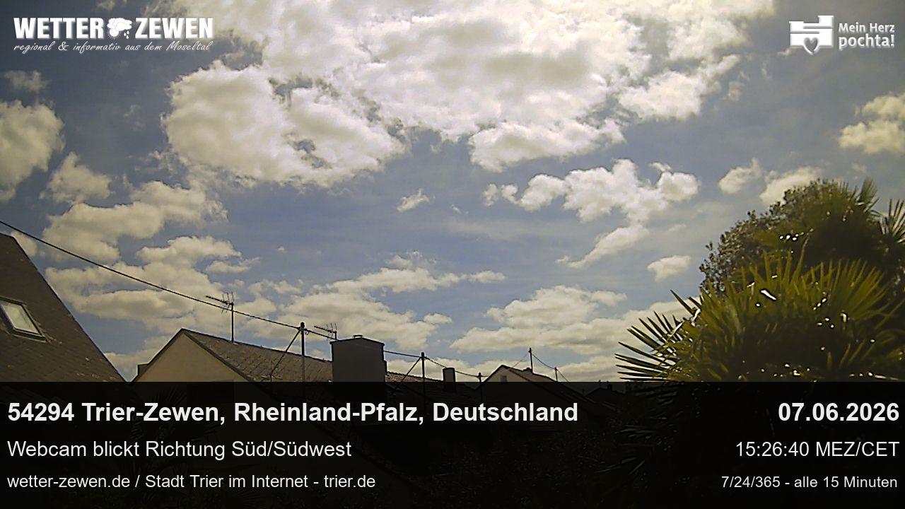 Bild