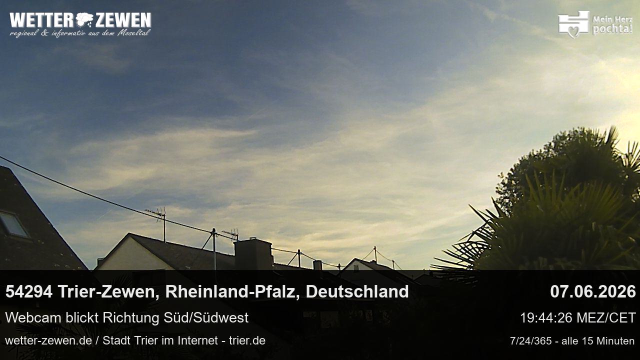 Bild