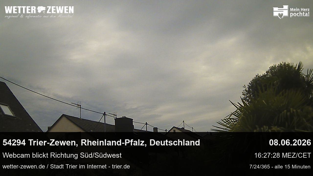 Bild