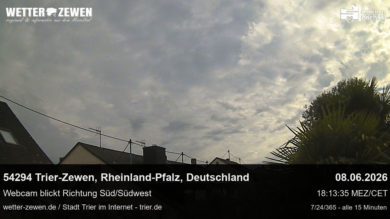 Bild