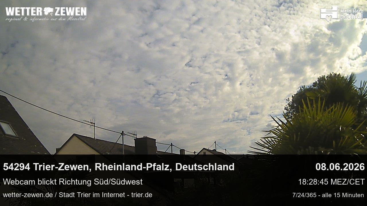 Bild