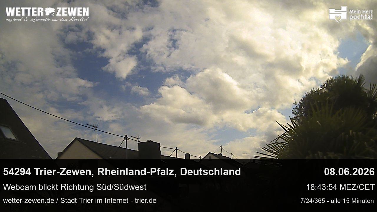 Bild