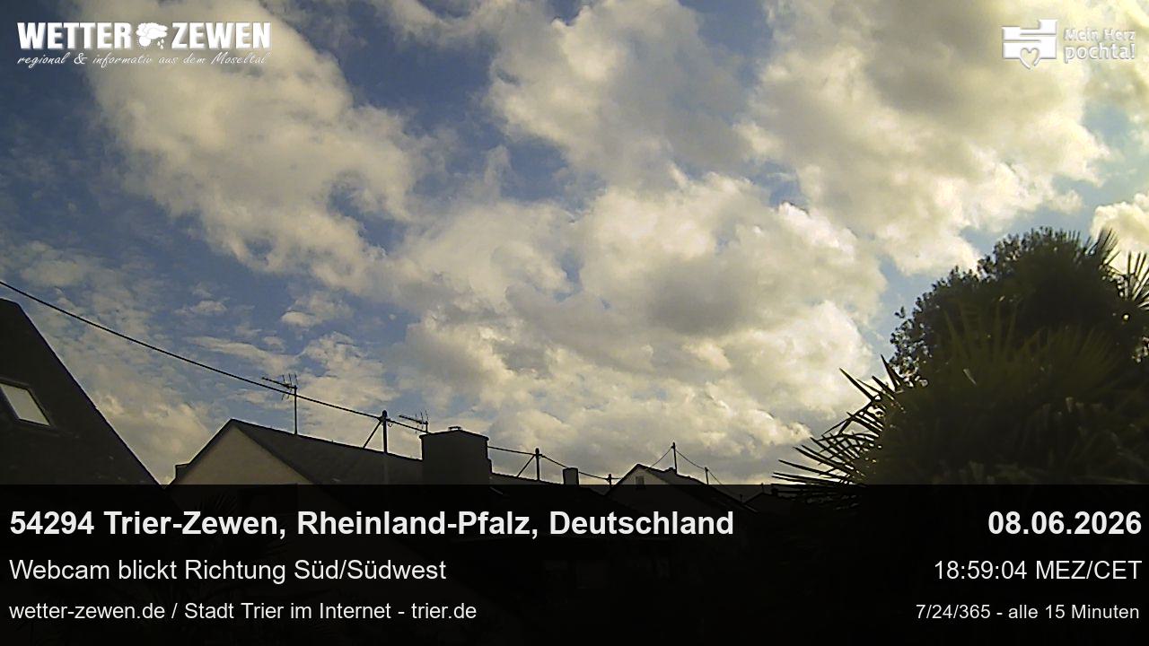 Bild